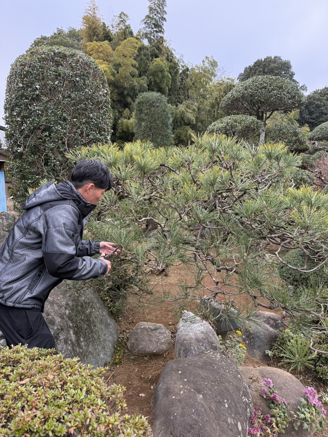 現地見積もり